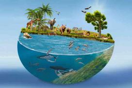 Plakatas Fantastika 1044; Dydis A2, A1, A0 formato