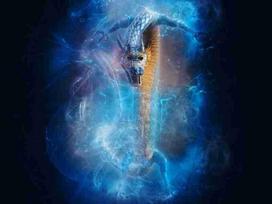Fotodrobė Fantastika 1171; 40x60cm, 60x90cm, 80x120cm, 100x150cm