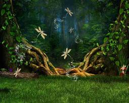 Fotodrobė Fantastika 1165; 40x60cm, 60x90cm, 80x120cm, 100x150cm
