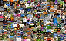 FotoDrobė Abstrakcija 1140; 40x60cm, 60x90cm, 80x120cm, 100x150cm