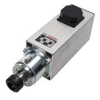 Elektrinis Spindle variklis Teknomotor DB 3.7kW 12000rpm ER32