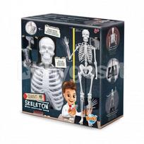 Buki France konstruktorius „Didelis žmogaus skeletas“