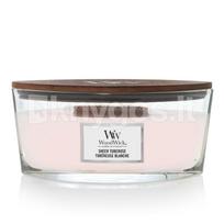 Kvapioji žvakė Ellipse Sheer Tuberose
