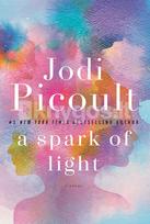 A Spark of Light - Jodi Picoult