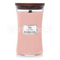Kvapioji žvakė Large Core Pressed Blooms & Patchouli