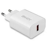 Lindy 73412, vidaus, lauko, kintamosios srovės, 12 V, BATLID73412