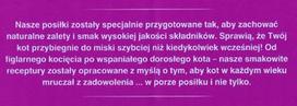 WHISKAS Mix Favourites in jelly - drėgno kačių ėdalo - 40x85 g