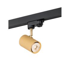 Argon 4323 - LED Akcentinis šviestuvas bėgių sistemai HAGA LED/9W/230V auksinis