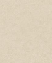 Viniliniai tapetai flizelino pagrindu GRANDECO A65603, 0,53 x 10,05 m