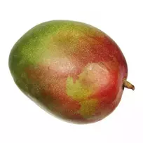 Sunokę didieji mangai, 1 vnt.