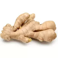Imbieras