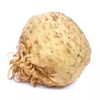 Šakniniai salierai