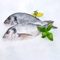 Neskrostos auksaspalvės atvėsintos dorados
