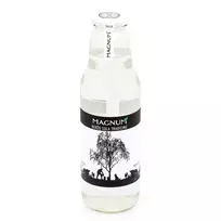 Beržų sula MAGNUM, 750 ml