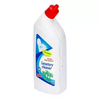 Tualeto valiklis YPLON, 1 l