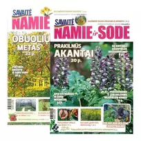 Žurnalas SAVAITĖ NAMIE IR SODE