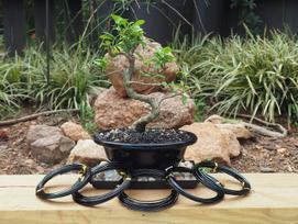 Bonsai formavimo vielos komplektas (1.0, 1.5, 2.0, 2.5, 3.0)