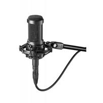 Audio-Technica AT2050  Mikrofonas