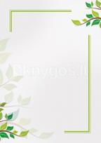Popierius diplomams A4 170g 25l GREEN