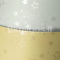 Dekoratyvinis popierius STARS A4 sidabrinis 220g 20l