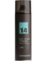 Emmebi Italia stiprios fiksacijos plaukų lakas su argano ir saulėgrąžų aliejais Emmebi Italia Eco Spray Strong  Gate14, 300ml