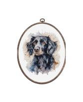 The Border Collie SBC213 su lankeliu
