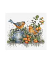 Song of The Birds SBU5031