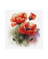 The Poppy Flowers SB7024