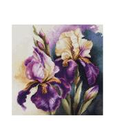 Iris Burgermeister SB7023