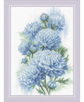 Delicate Chrysanthemums 2140