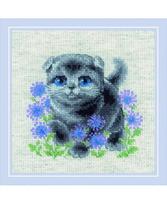 Lop-eared Kitten 2120