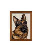German Shepherd 1068
