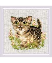 Bengal Kitten 2119