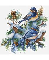 The Birds-Winter SB2418