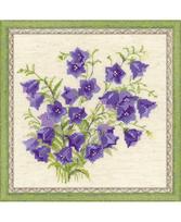 Bellflower 1557