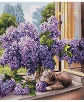 The Dreamer SBU5015