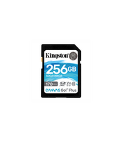 KingstonCanvasGoPlus256Gbkainanuo19.70€(16pard.)