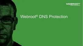 "Webroot DNS Protection with GSM Console", 1, VIRWEB152300001A