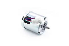 DC variklis WG790E.1, WG791E.1, WG796E.1, Worx