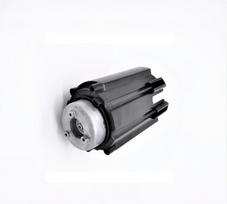 Variklis pjovimo komp.  L1500, L2000 WR153E, WR155E, Worx