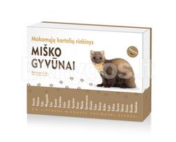 Mokomosios kortelės „Miško gyvūnai“ - Daiva Mikaliūnienė, Ada Vilkė