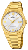 Vyriškas Laikrodis FESTINA SWISS MADE 20038/1