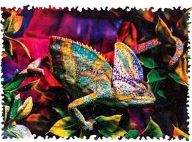 Medinė dėlionė „įspūdingas chameleonas“ (250 det.)