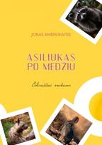 Asiliukas po medžiu