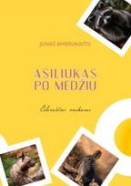 Asiliukas po medžiu - Jonas Ambrukaitis