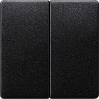 Two gang cover plate, carbon metallic, Delta I-System 5TG6225 | 4001869233581
