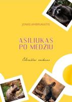 Asiliukas po medžiu. Eilėraščiai vaikams - Jonas Ambrukaitis