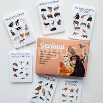 Gyvūnai. Lavinamųjų kortelių rinkinys