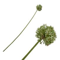 Dirbtinė gėlė dekoratyvinis česnakas PARLANE, 91 cm