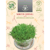Sėklos daigams Daržinis builis 10g (ANTHRISCUS CEREFOLIUM)